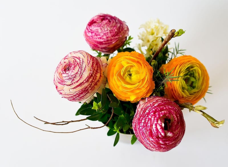 Magical Plant Arrangements