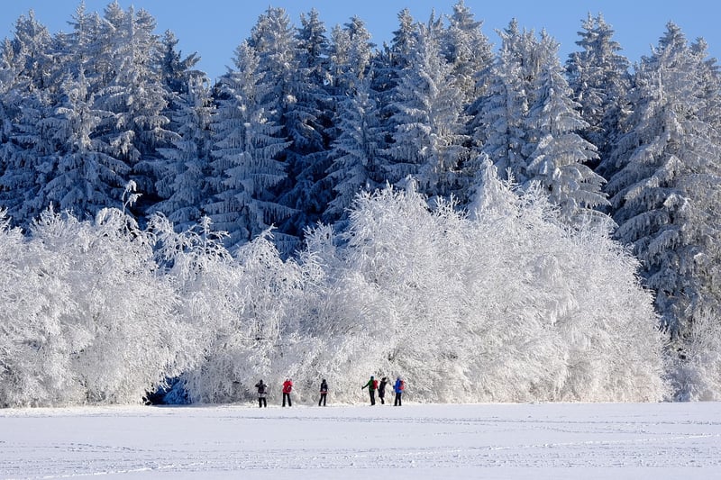 Winter Wonderland Enchantment