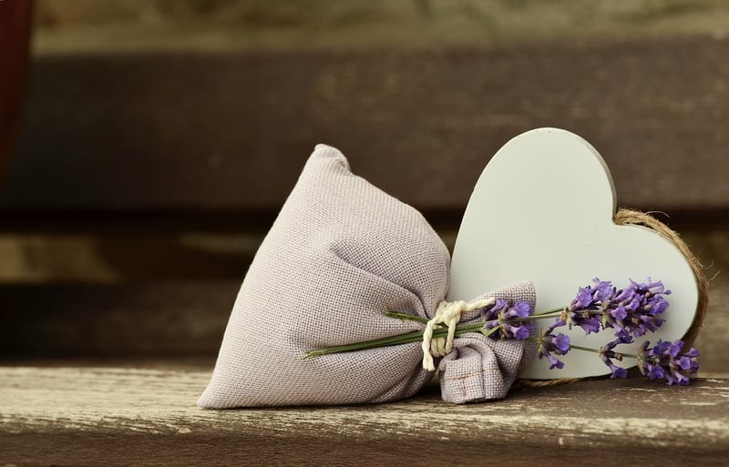Lavender Fields