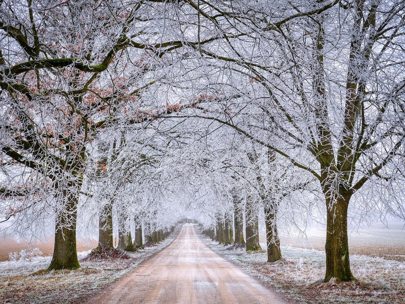 Winter Snow